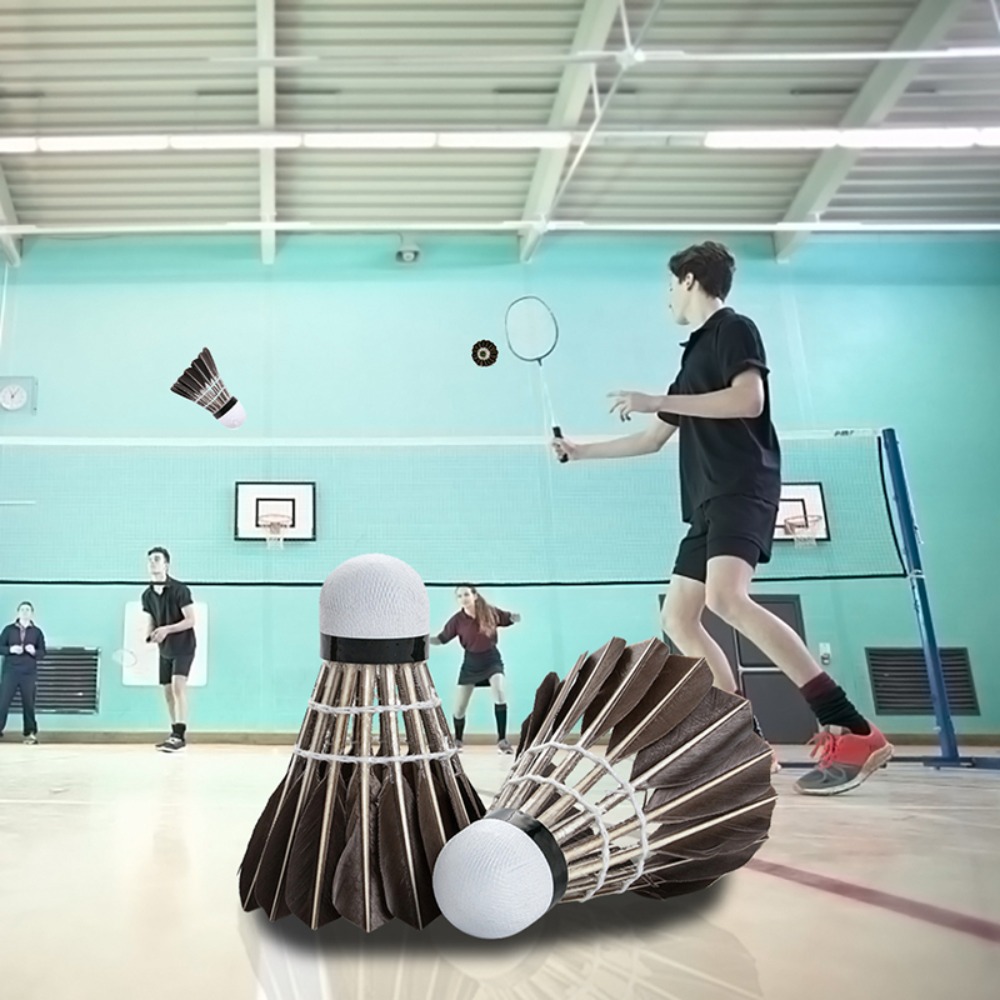 3/6/12Pcs Household Sport Trai - Badminton Event 리뷰 및 가격