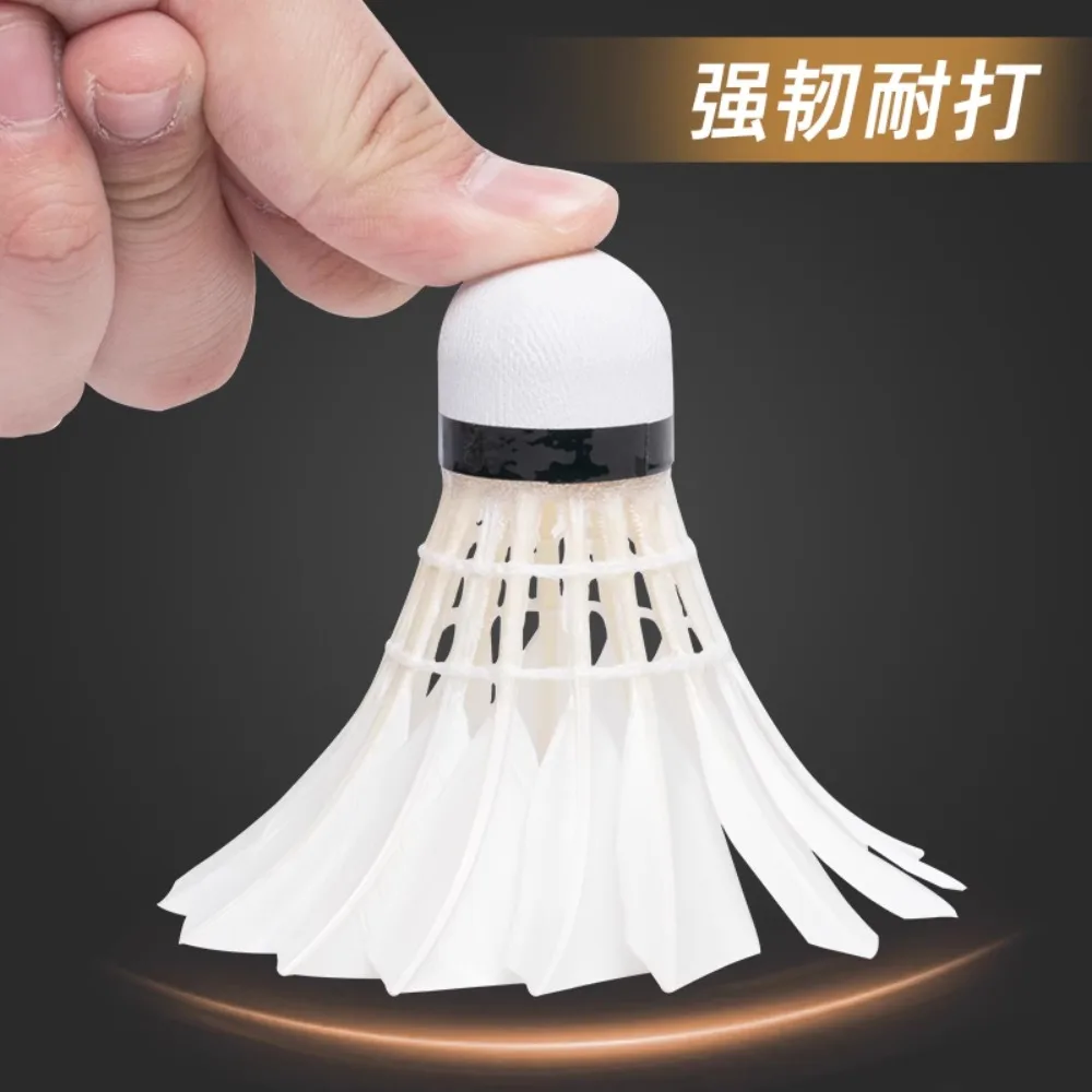 1Tube Victor Badminton Master  - Badminton Event 리뷰 및 가격