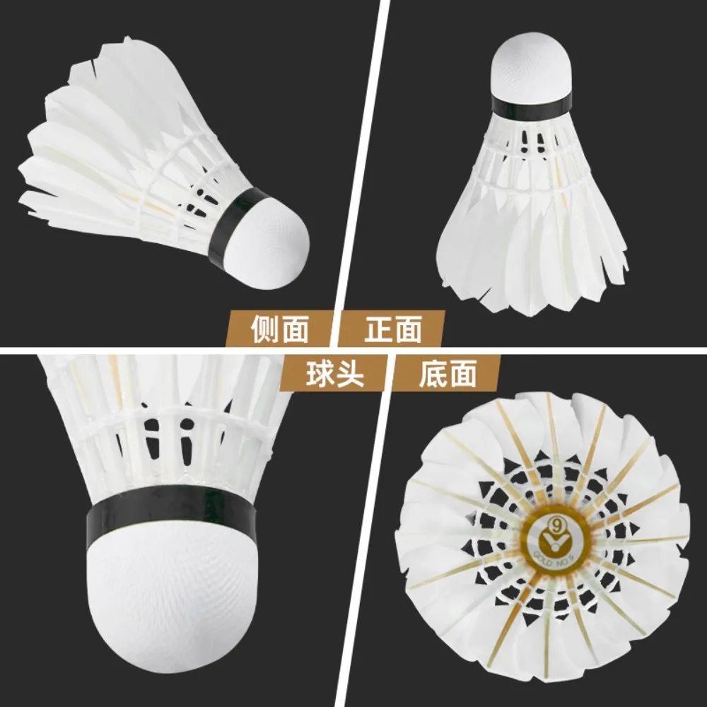 1Tube Victor Badminton Master  - Badminton Event 리뷰 및 가격
