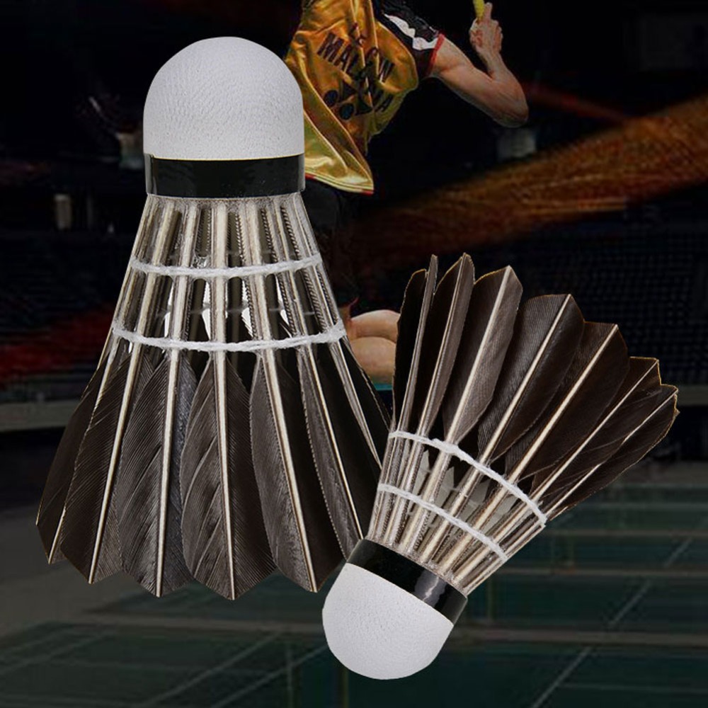 3/6/12Pcs Accessories Stable S - Badminton Event 리뷰 및 가격